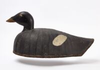 Oversized White-Winged Scoter Decoy