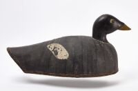Oversized White-Winged Scoter Decoy - 2