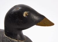 Oversized White-Winged Scoter Decoy - 3