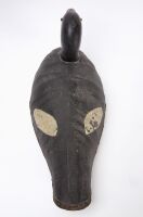 Oversized White-Winged Scoter Decoy - 4