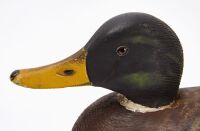 A. Elmer Crowell - Mallard Drake Decoy - 3