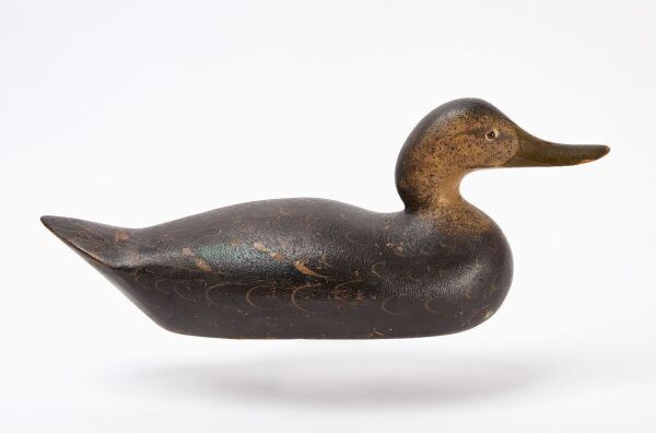 Mason Challenge Black Duck Decoy