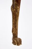 Frank Finney Folk Art Dog Walking Stick - 5