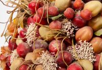 Doris Stauble - Still Life Arrangement - 8