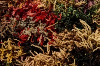 Shaker Confetti Rug - 2