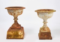 Two Cast Iron Urns - 3